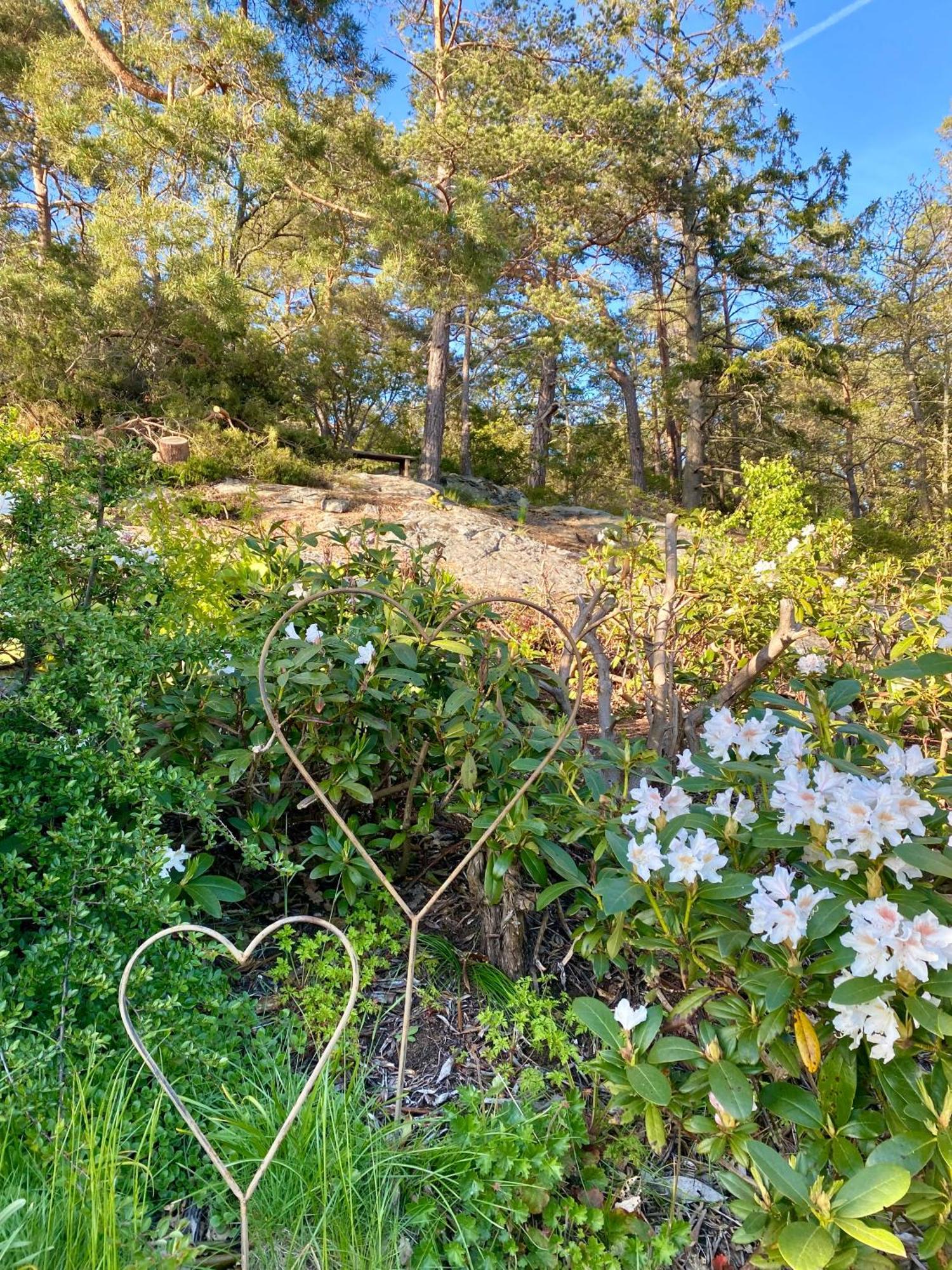 Thecabinljungskile Exteriör bild