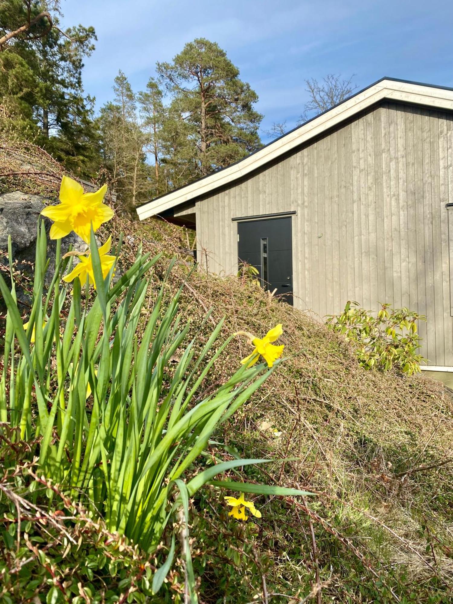 Thecabinljungskile Exteriör bild